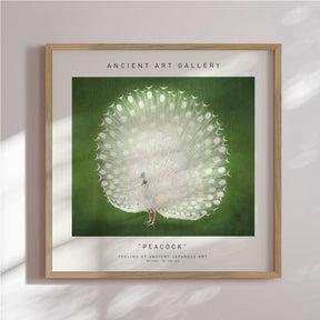 Plakat - Peacock - Incado