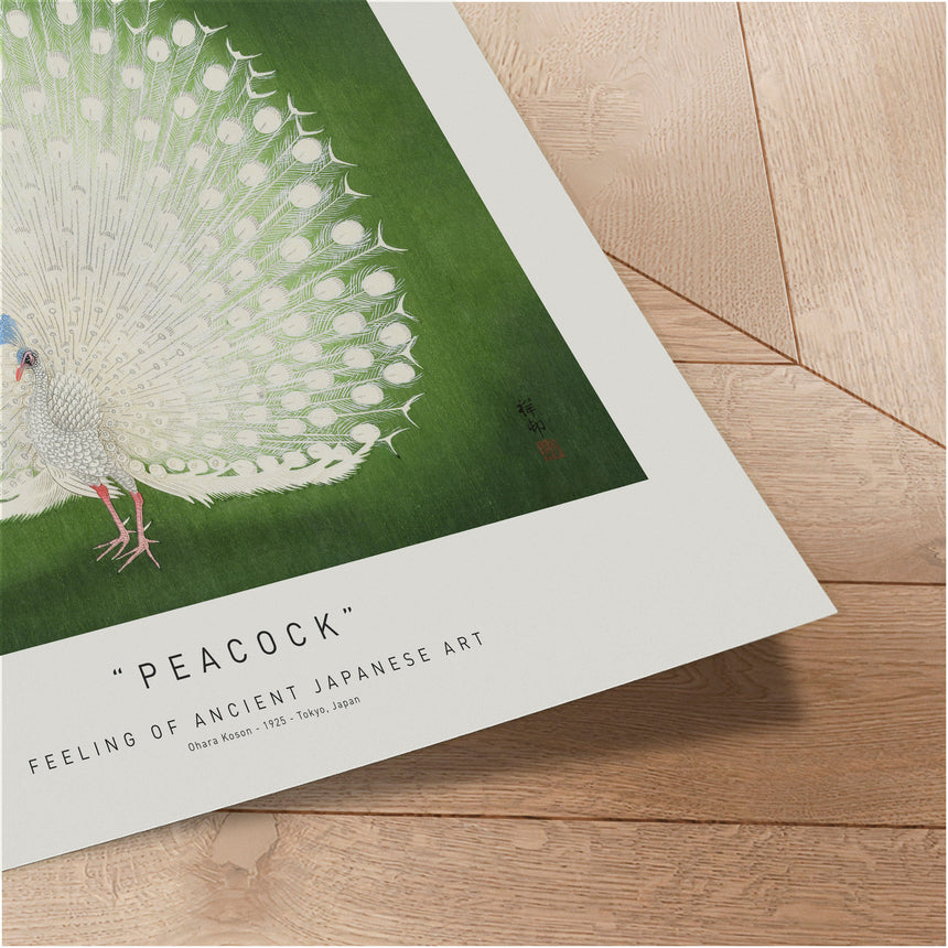 Plakat - Peacock