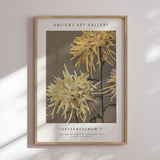 Plakat - Chrysanthemum II - Ancient Art