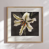 Plakat - Lily II