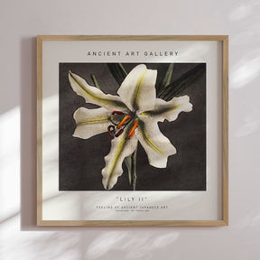 Plakat - Lily II - Incado