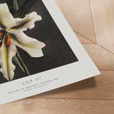 Plakat - Lily II