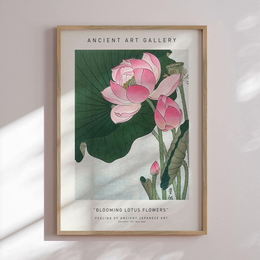 Plakat - Blooming Lotus Flowers - Ancient Art - Incado