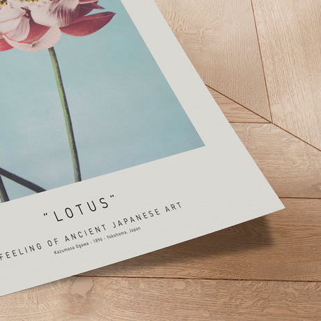 Plakat - Lotus - Ancient Art