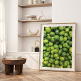 Plakat - Bunch of Limes - Incado