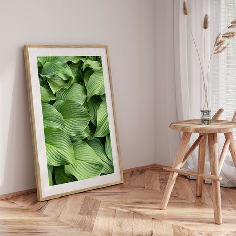 Plakat - Green Hosta - Incado