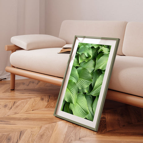 Plakat - Green Hosta - Incado