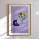 Plakat - Pansy Glass - Incado