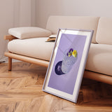 Plakat - Pansy Glass