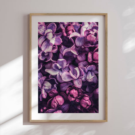 Plakat - Lilac Flower - Incado