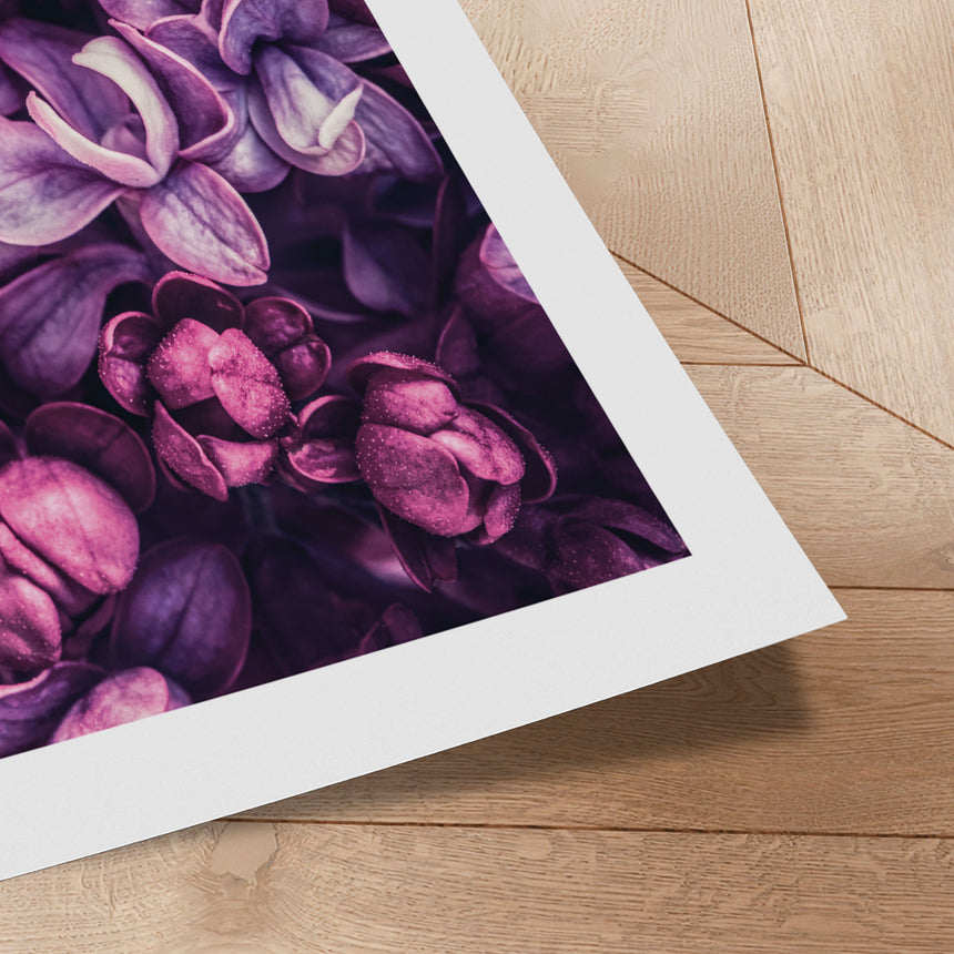 Plakat - Lilac Flower - Incado