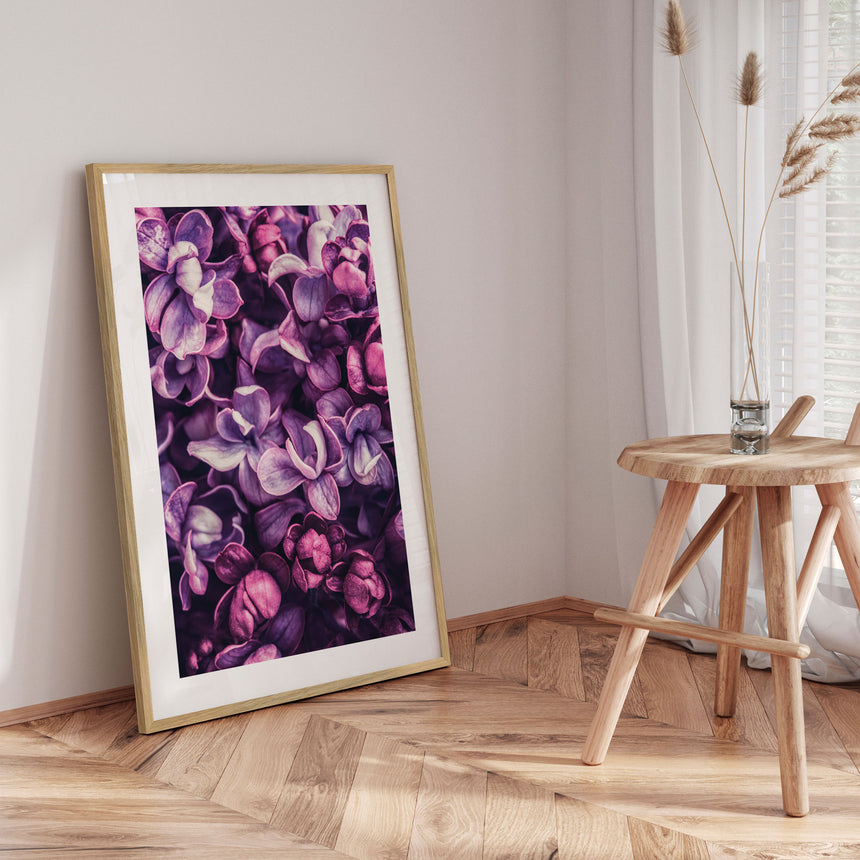 Plakat - Lilac Flower - Incado