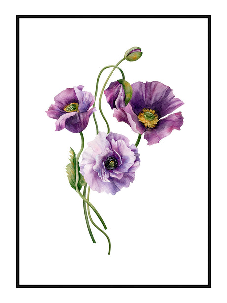 Plakat - Purple Anemone - Incado