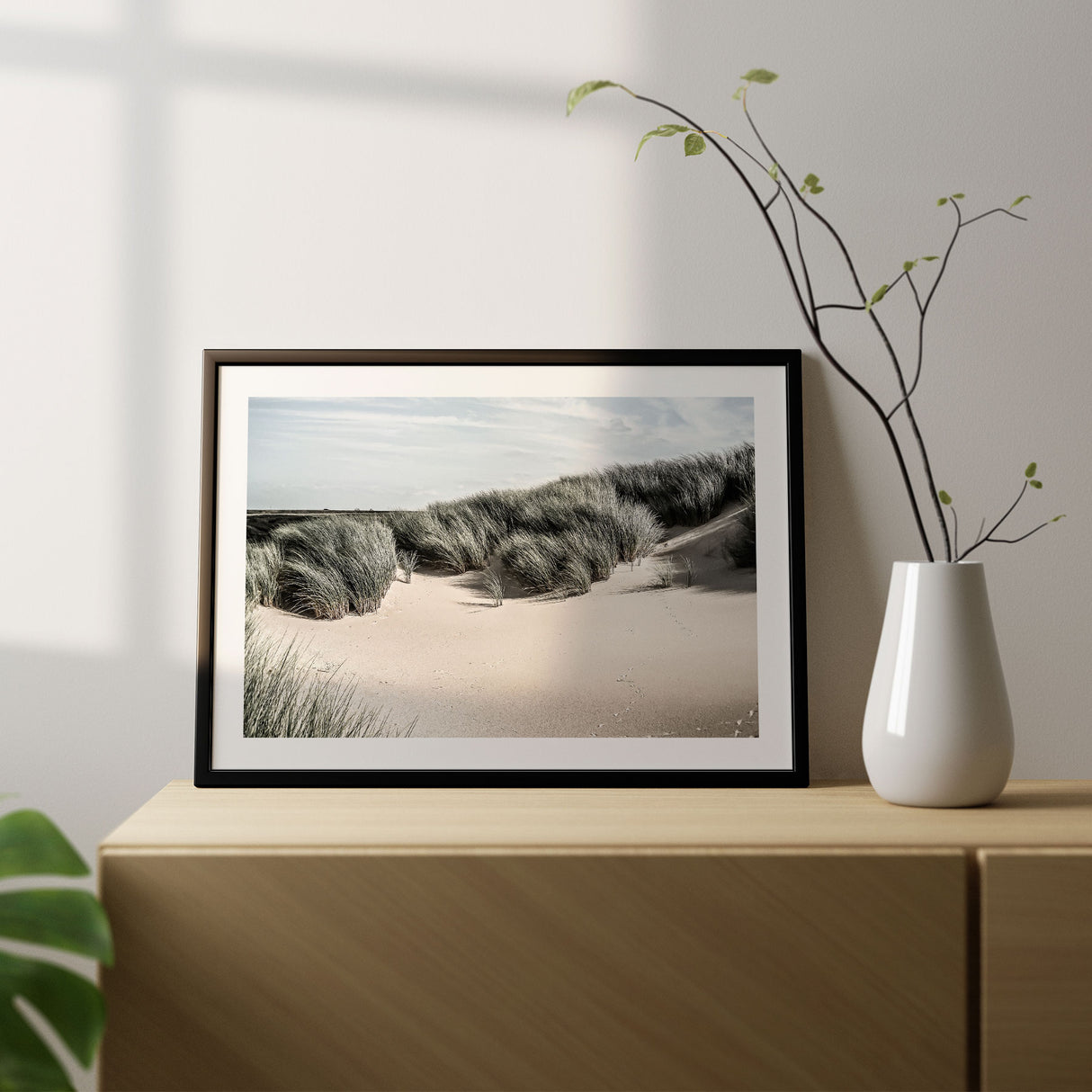 Sand Dunes