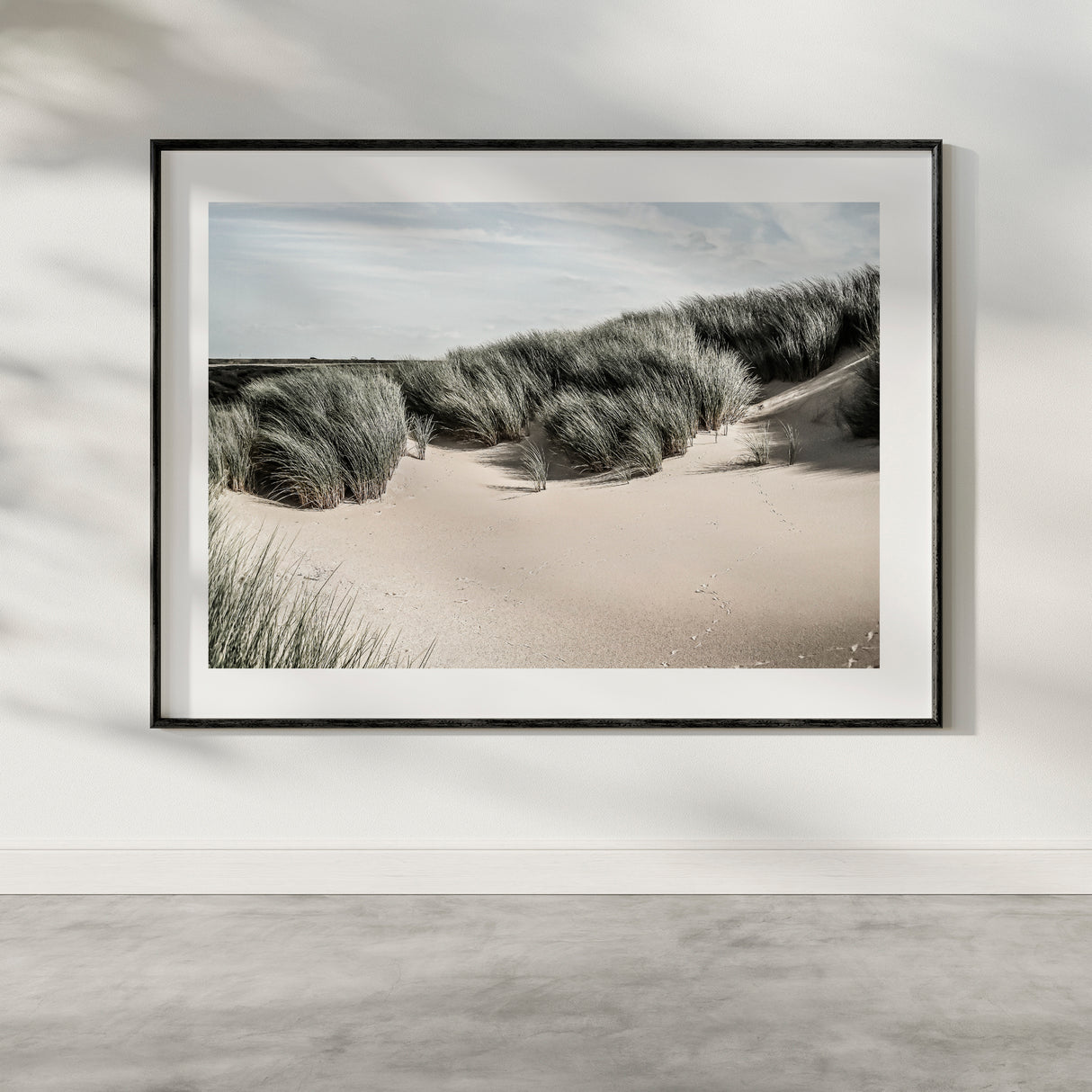 Sand Dunes