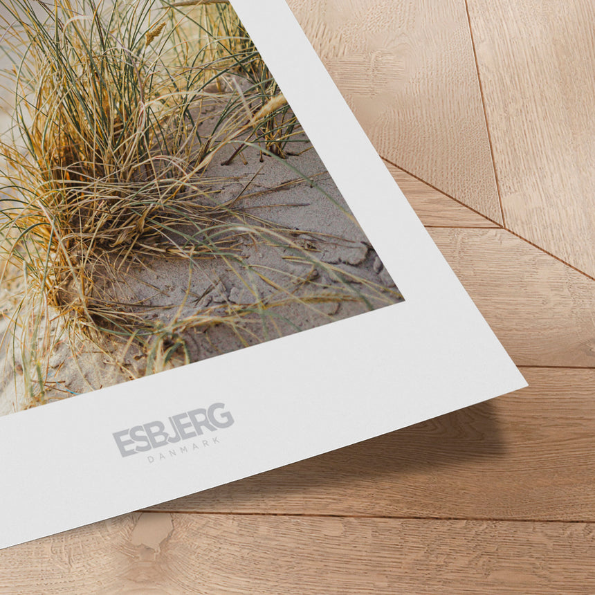 Plakat - Esbjerg Sands