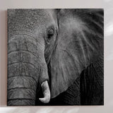 Lærredstryk - Wisdom