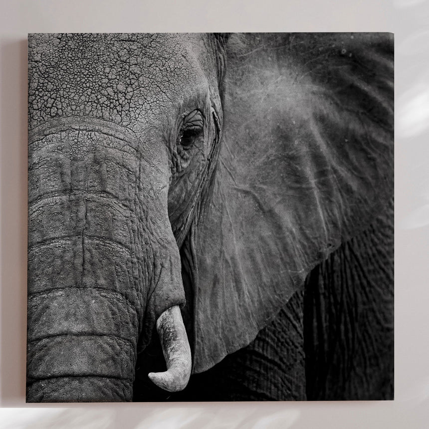 Lærredstryk - Wisdom