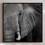 Lærredstryk - Wisdom