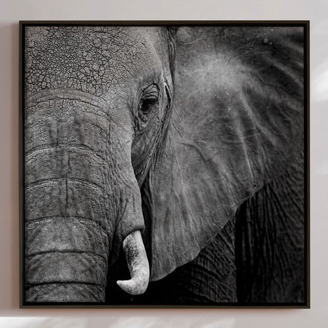 Lærredstryk - Wisdom