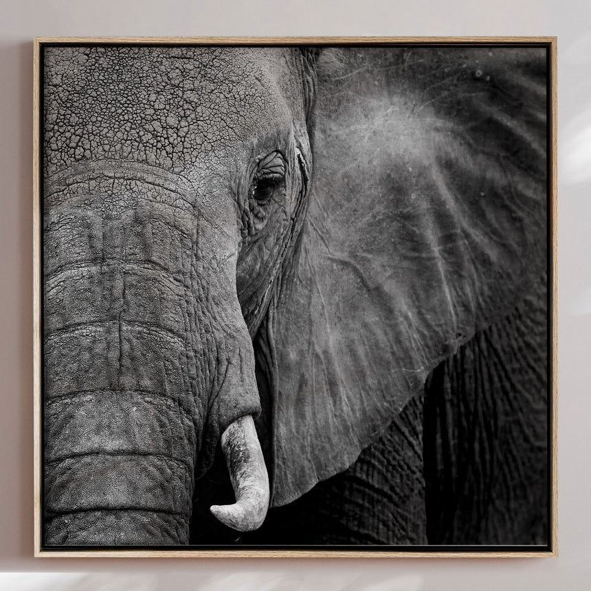 Lærredstryk - Wisdom