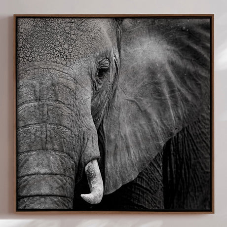 Lærredstryk - Wisdom