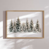 Plakat - Chrismas Trees