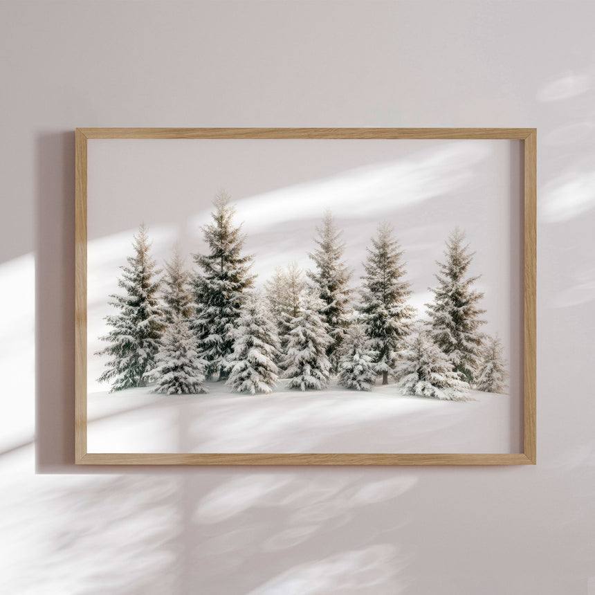 Plakat - Chrismas Trees