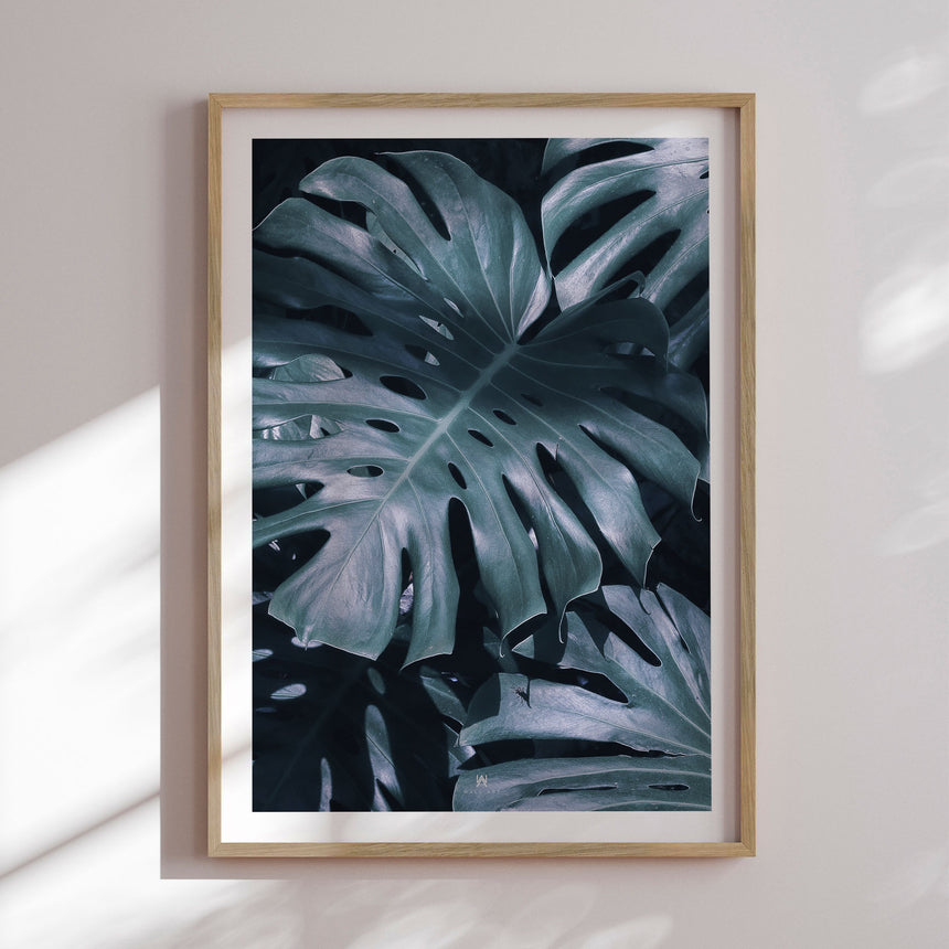 Plakat - Monstera