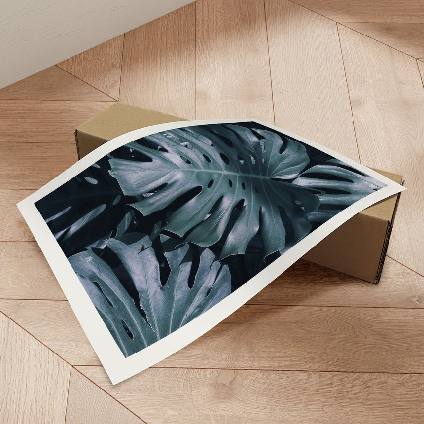 Plakat - Monstera