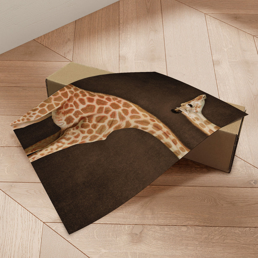 Plakat - Giraffe Illusion - Marja van den Hurk