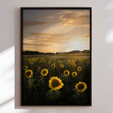 Lærredstryk - Golden Sunflower Field - Christian Lindsten