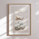 Plakat - Spiral Beach Shells