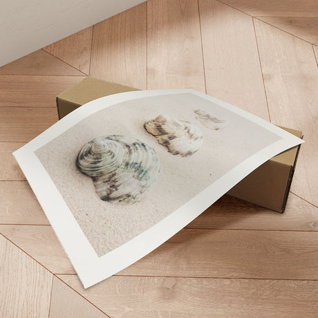 Plakat - Spiral Beach Shells