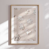 Plakat - Coastal Sand Shells