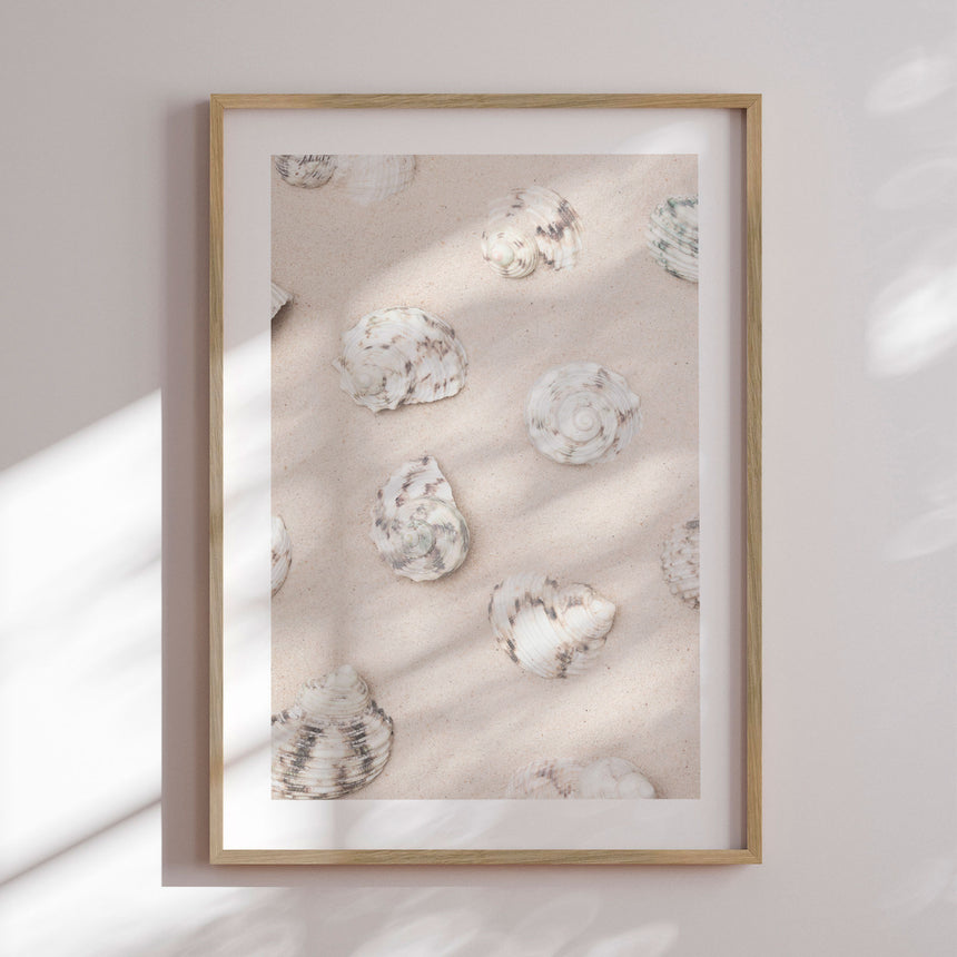 Plakat - Coastal Sand Shells