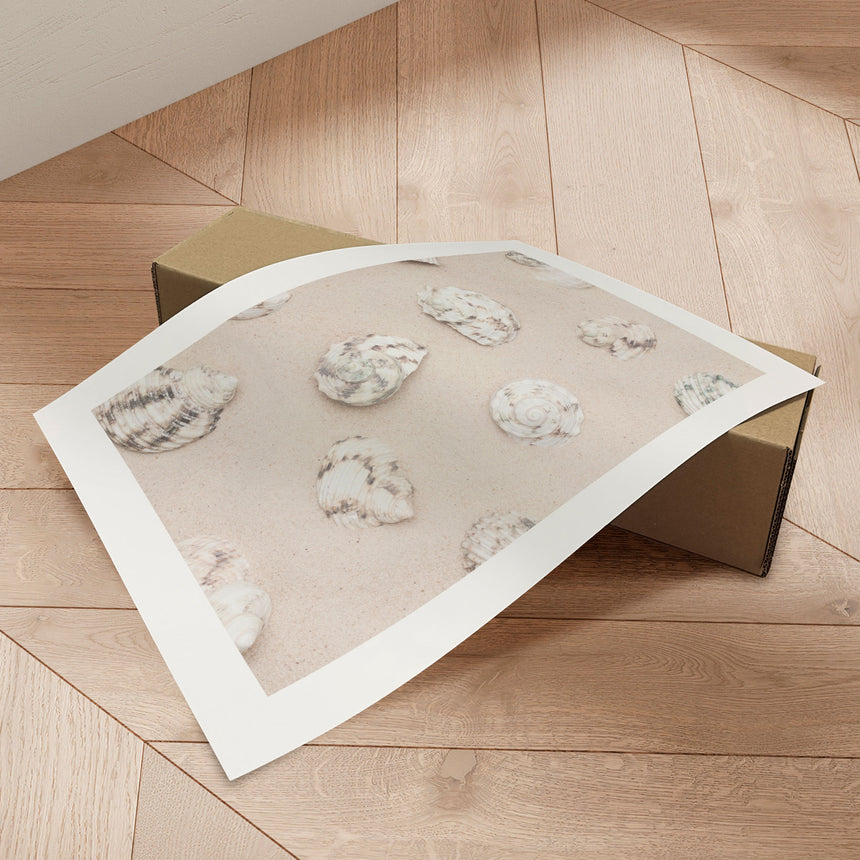 Plakat - Coastal Sand Shells