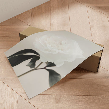 Plakat - Peony - 1x Studio II