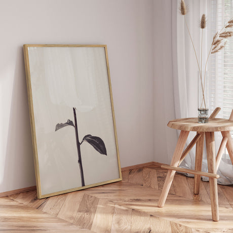 Plakat - Whispered Elegance - 1x Studio II