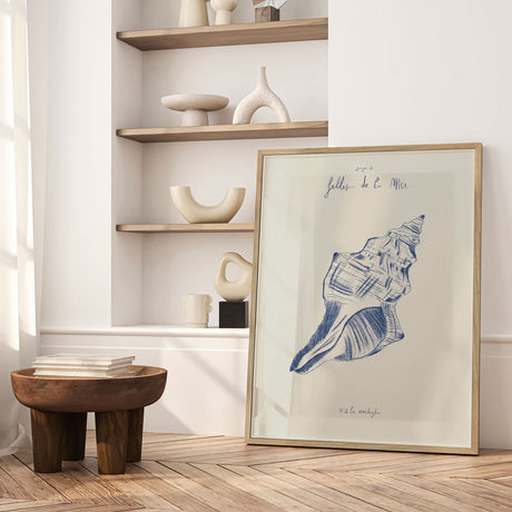 Plakat - Coastal Seashell Study - Giulia Mora