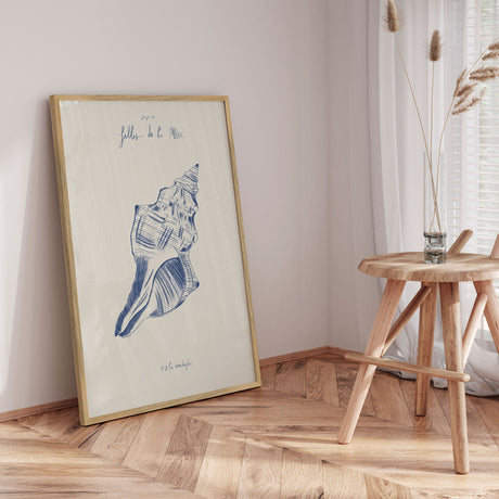 Plakat - Coastal Seashell Study - Giulia Mora