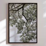 Lærredstryk - Ethereal Canopy - Shot by Clint