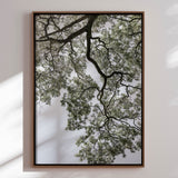 Lærredstryk - Ethereal Canopy - Shot by Clint