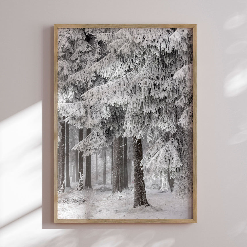 Plakat - Winter Forest - Mareike Böhmer