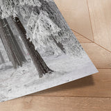 Plakat - Winter Forest - Mareike Böhmer
