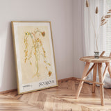 Plakat - Vintage Plant - NKTN