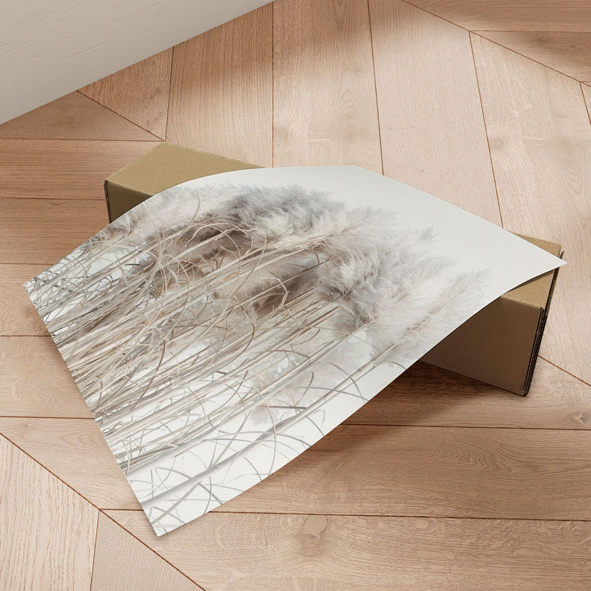 Plakat - Pampas Grass II - Magda Izzard