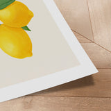 Plakat - Limon Di Sorrento - Jenny Liz Rome