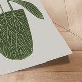Plakat - Parent Plant