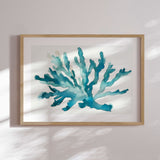Plakat - Turquoise Coral - Kathrin Pienaar